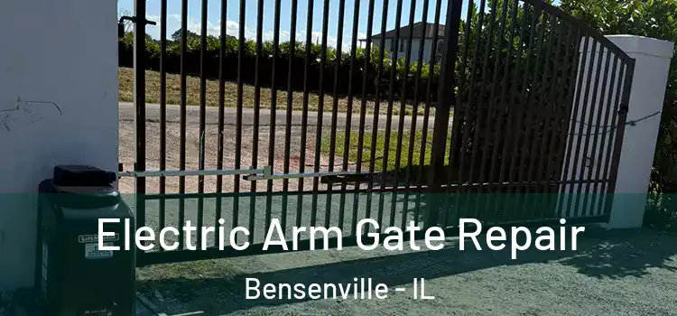 Electric Arm Gate Repair Bensenville - IL
