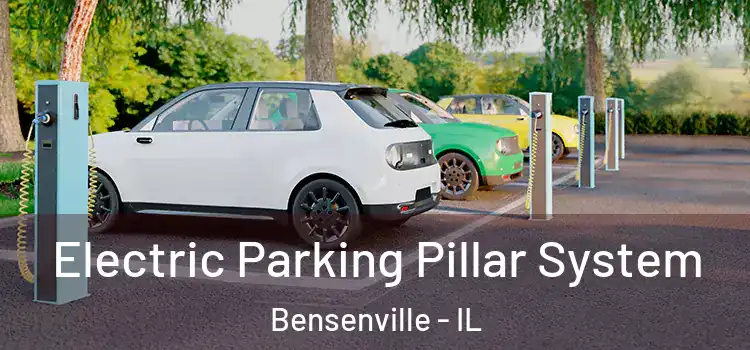 Electric Parking Pillar System Bensenville - IL