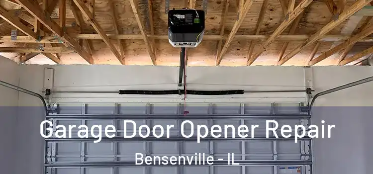  Garage Door Opener Repair Bensenville - IL