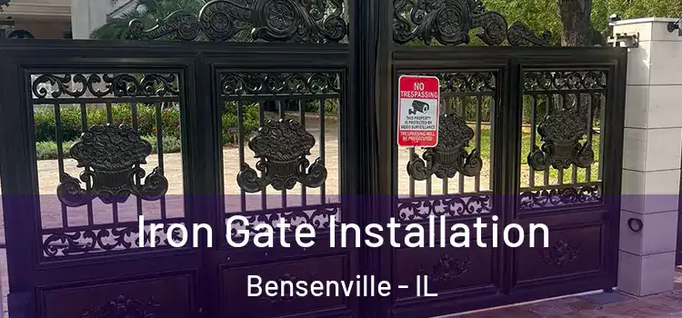 Iron Gate Installation Bensenville - IL