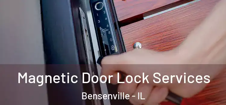 Magnetic Door Lock Services Bensenville - IL